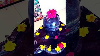 Bahut Sundar Bat Kahi Gurujine trending love shortsvideo mahadev short [upl. by Stout755]