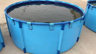 20000L 30000L 50000L PVC Tarpaulin Fish Pond with Frame [upl. by Favian]