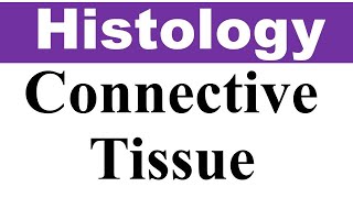 Chp5 Histology Inder Bir Singh  General Connective Tissues  Dr Asif Lectures [upl. by Tandi]