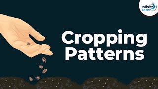 What are the Cropping Patterns  Dont Memorise [upl. by Aidole]