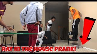 RAT IN THE HOUSE PRANK [upl. by Tomkins]