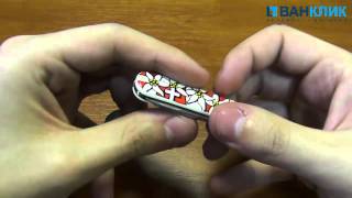 Нож Victorinox Classic SD Edelweiss 0620384 [upl. by Neehs970]