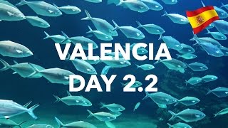 Valencia  Sharks amp Flowers Day 2  Part 2 [upl. by Enelaj]