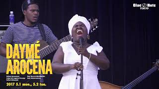 DAYMÉ AROCENA JAZZ AUDITORIA 2017 in WATERRAS（2019430 sun） [upl. by Sergent]