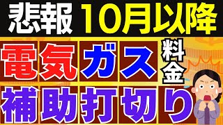 【補助終了で電気代がヤバい】 10月電気代が激増！ガス代・LPガス補助金の行方と再延長案とは？ [upl. by Aisul760]