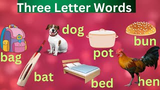 Phonics 3 Letter Words [upl. by Anot]