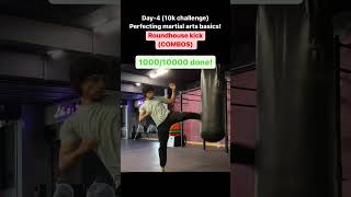 10k roundhouse challenge Kickboxing basics Master boxing basics Muay Thai Drills [upl. by Damarra185]