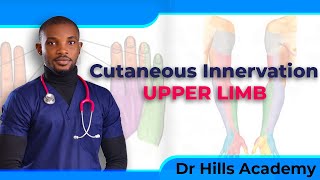 Cutaneous Innervation of the Upper Limb  Made Easy [upl. by Sima]