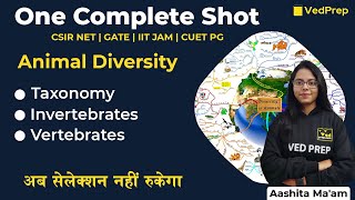 Animal Diversity  One Complete Shot  CSIR NET  GATE  IIT JAM  CUET PG  VedPrep Biology Academy [upl. by Aneehsit]