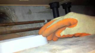 Rats getting into Kitchen through Drain system [upl. by Reinold280]