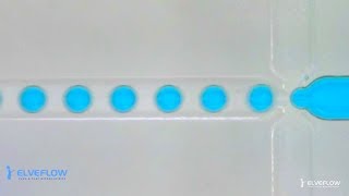 Microfluidics droplet generation with flow focusing [upl. by Atinehc]