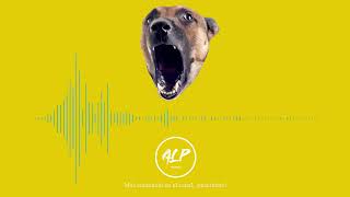 SONIDO PERRO BRAVO LADRANDO  EFECTO DE SONIDO  ALPsounds  BARKING DOG [upl. by Ojeillib622]