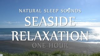 Sleep Sounds Seaside Relaxation 1 Hour  White Noise Ocean Waves Meditation Sleeping Study Yoga [upl. by Margareta]