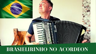 BRASILEIRINHO  ACORDEON  WALDIR AZEVEDO [upl. by Onirotciv]