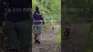 🏔️J55 KILIMANDJARO🏔️ Pourquoi je fais ça ⁉️ training trek cancerdusein [upl. by Eiddam]