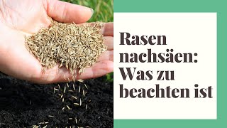 Rasen nachsäen Was zu beachten ist [upl. by Evonne306]