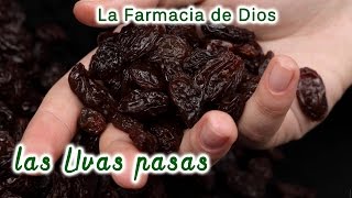 Las uvas pasas propiedades y beneficios para nuestra salud [upl. by Yesrej]