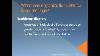 Introduction to Organizational Behavior Chapter 1 [upl. by Naenej576]