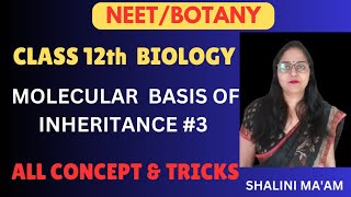 Molecular Basis of Inheritance class 12 I Molecular Basis of Inheritance  Important Notes for NEET [upl. by Halette]