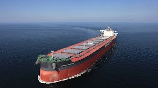 Full Tour of Bulker [upl. by Huber986]