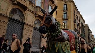 450Mulassa Cercavila de Mulasses per Santa Eulàlia  Gegants I [upl. by Magulac]