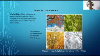 Bosques caducifolios [upl. by Uke]