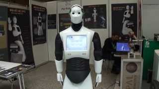 ICRA Robots 2013 [upl. by Yelrah462]