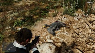 Where to find the Great Cormorant BIRD GTA V Online Wild life Photography [upl. by Maisey]