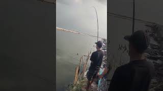 JORAN SAMPAI PATAH spot sungai slamaran fishing mancing kakapputihbabon sorotan [upl. by Okoyik]