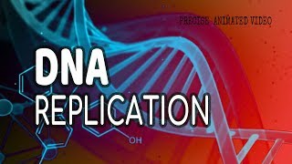 DNA Replication  Helicase  leading strand  Lagging strand  Okazaki fragments [upl. by Mitchel891]