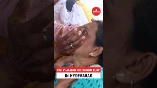 Fish prasadam for asthma cure in hyderabad [upl. by Vicki]