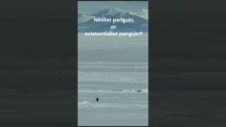 Nihilist Penguin or Existentialist Penguin filmtok cinematography movie filmmaking [upl. by Abdella232]