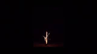 Dragon Blaster Salute Candles  Fireworks [upl. by Tremaine476]