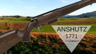 Anschutz 1771 17 Hornet Rifle Unboxing Review [upl. by Ivory844]