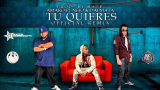 Amaro Ft Ñejo amp Dalmata  Tu Quieres Official Remix Prod By Haze [upl. by Home401]