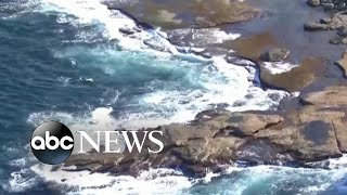 Sydney’s 1st fatal shark attack in decades [upl. by Moreta]