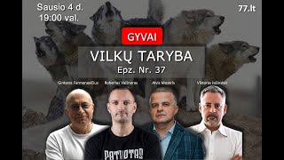 Vilkų taryba gyvai  epnr 37  klausimai atsakymai [upl. by Ajiram]