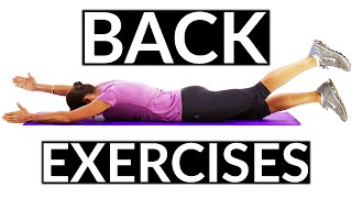 Beginners Back Exercises that Strengthen your Back [upl. by Anilesor826]