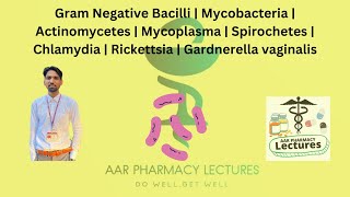 Gram Negative Bacilli  Mycobacteria  Actinomycetes  Mycoplasma  Spirochetes  Chlamydia [upl. by Ameerak]