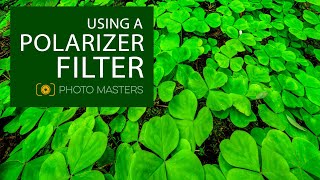 How to Use a Polarizer Filter [upl. by Karim]