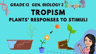 Tropism  Plant Responses to Stimuli  Grade 12 General Biology 2 Tagalog [upl. by Rosina]