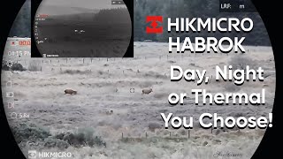 HikMicro Habrok HQ35L  Proper Day and Thermal Field Footage [upl. by Yelsnit]