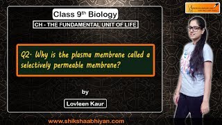 Q2 Why is the plasma membrane called a selectively permeable membrane [upl. by Filmore]