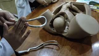 FORCEPS DELIVERY demonstration on DUMMY easy way to go 2 [upl. by Grata]