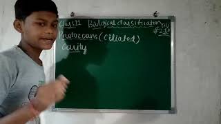 Protozoans Ciliated protozoans SporozoansClass 11 chapter 2 Biology Lecture 210 for neet [upl. by Eevets]