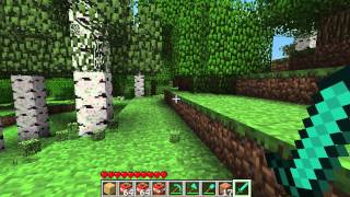 Minecraft 17 Patch update  Pistons New Textures Shears Fences and TNT [upl. by Ahsienauq]