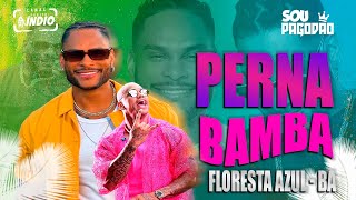 PARANGOLÉ  Perna Bamba Versão ao VIVO  em FLORESTA AZUL  BA  Música do Carnaval [upl. by Silbahc]