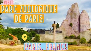 Zoo de Vincennes  Parc Zoologique de Paris  Visiting the zoo in 4K [upl. by Natlus298]