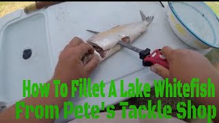 How to fillet a Lake Whitefish from Petes Tackle Shop [upl. by Andeee]