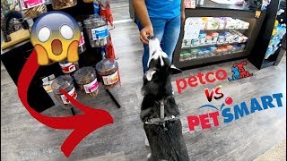 Is Petco Better Than PetSmart [upl. by Rinum]